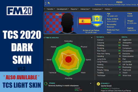 Football Manager 2020 TCS Dark skin